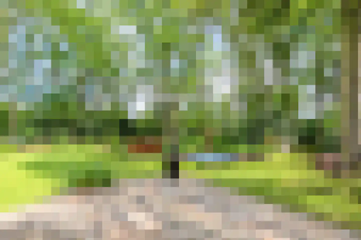 Schoolbosdwarsweg 3 Heino thumbnail 39