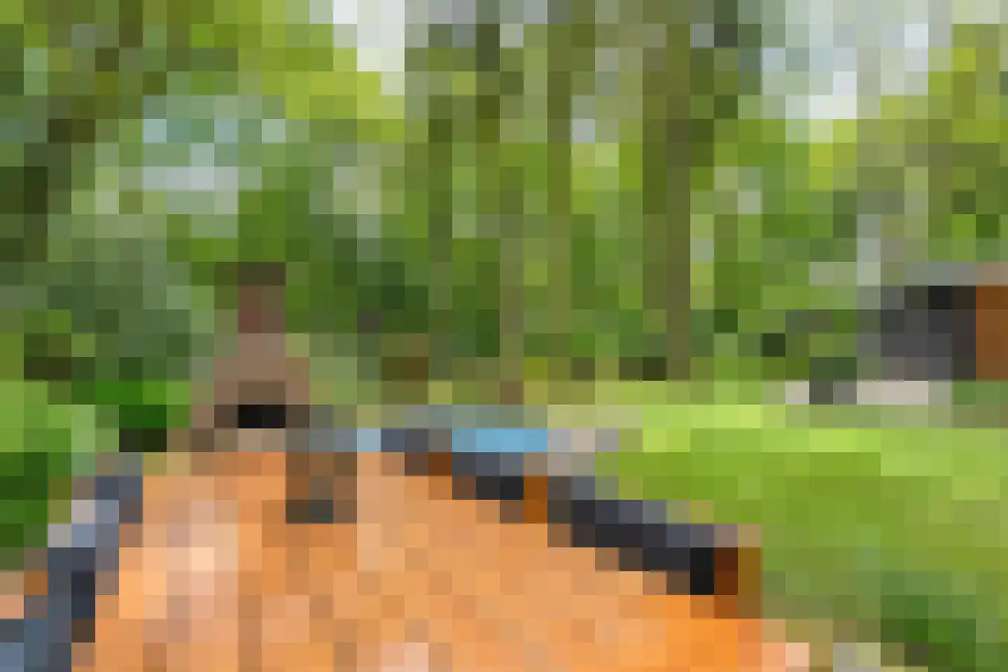 Schoolbosdwarsweg 3 Heino thumbnail 40