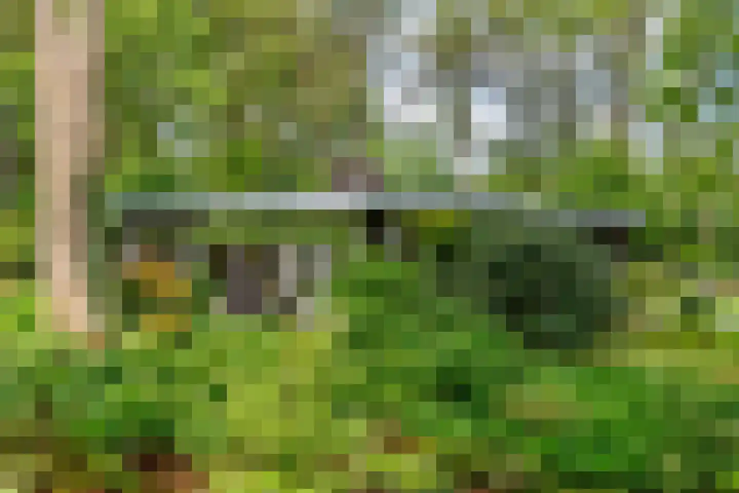 Schoolbosdwarsweg 3 Heino thumbnail 43