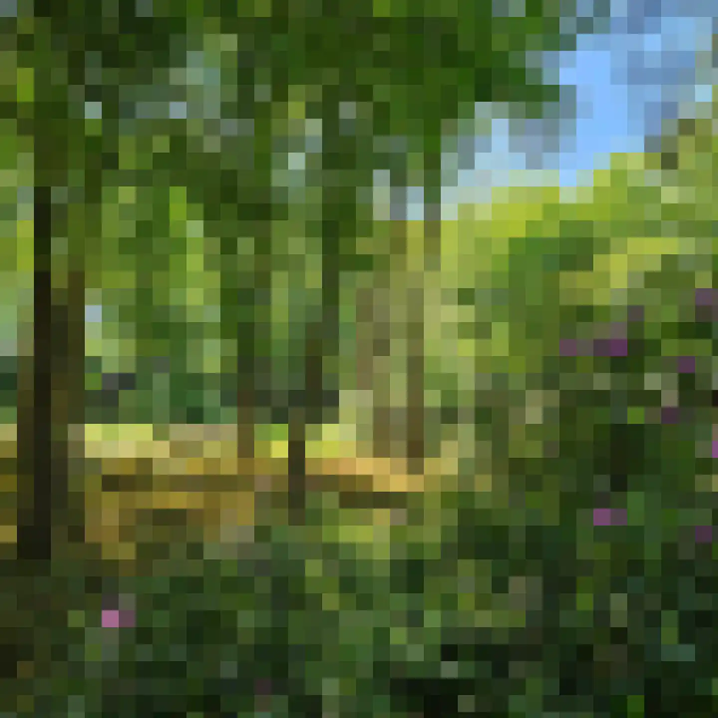 Schoolbosdwarsweg 3 Heino thumbnail 45