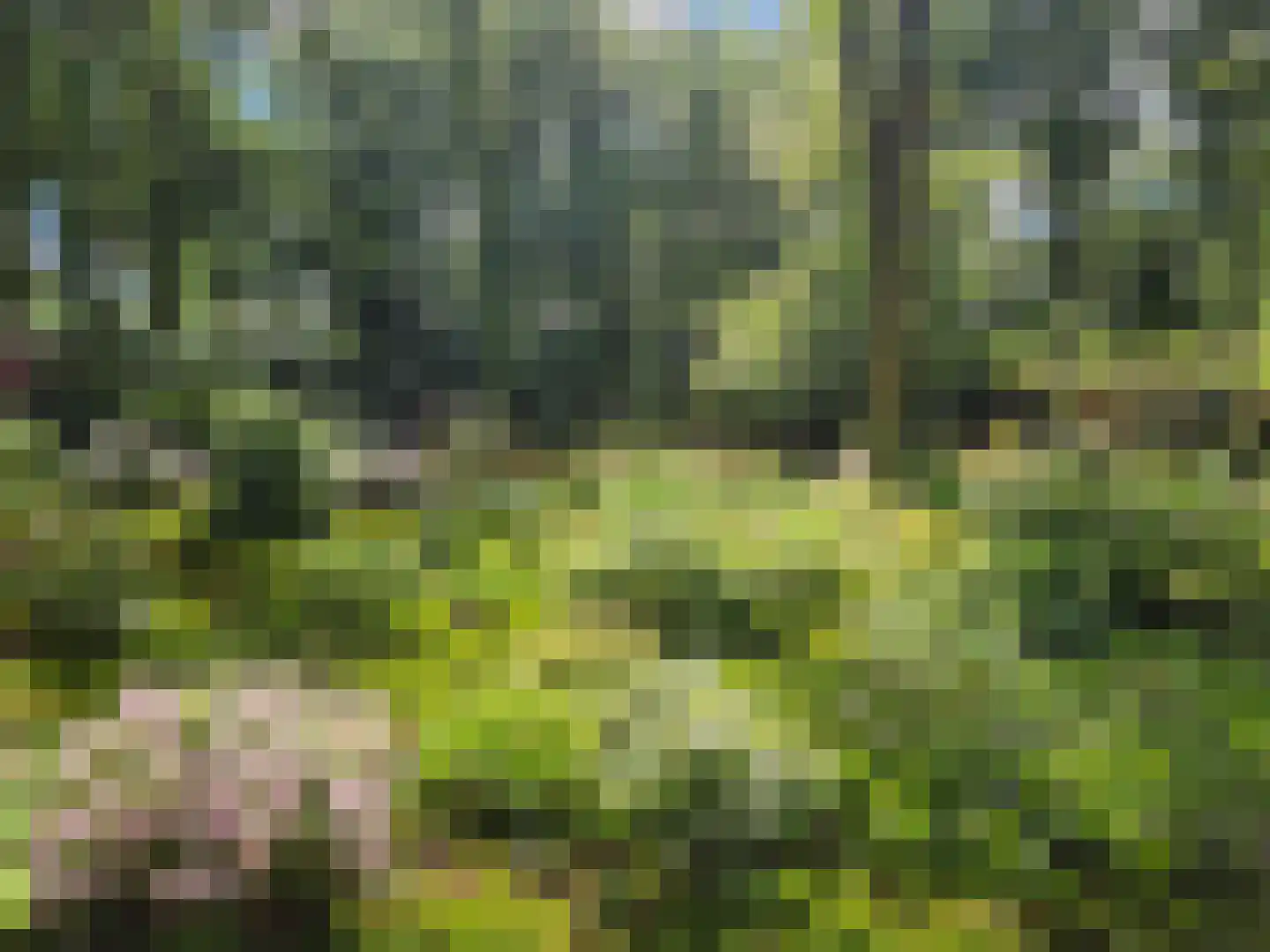Schoolbosdwarsweg 3 Heino thumbnail 46