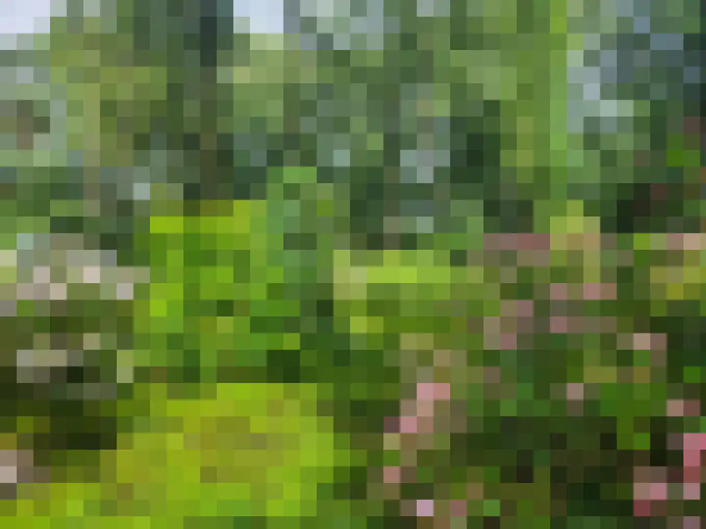 Schoolbosdwarsweg 3 Heino thumbnail 48