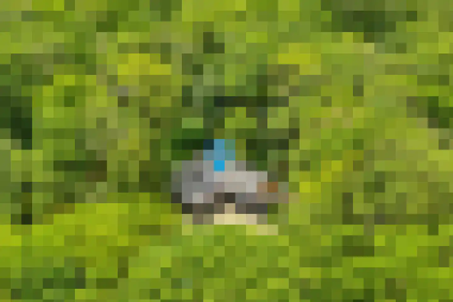 Schoolbosdwarsweg 3 Heino thumbnail 5