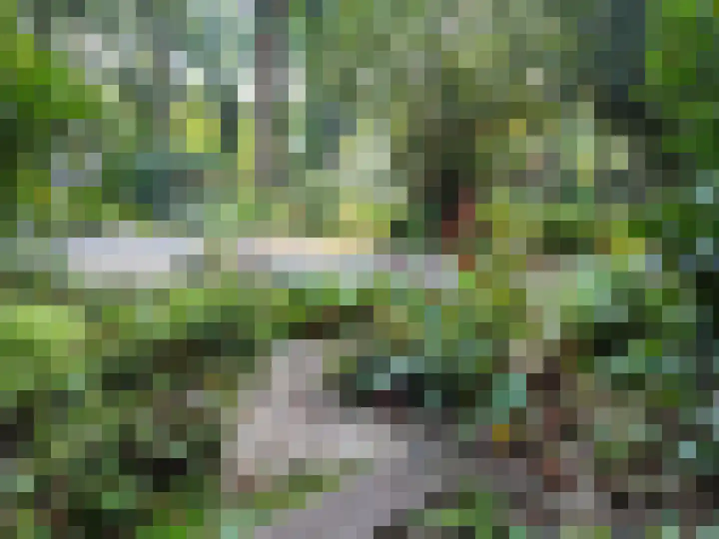 Schoolbosdwarsweg 3 Heino thumbnail 55