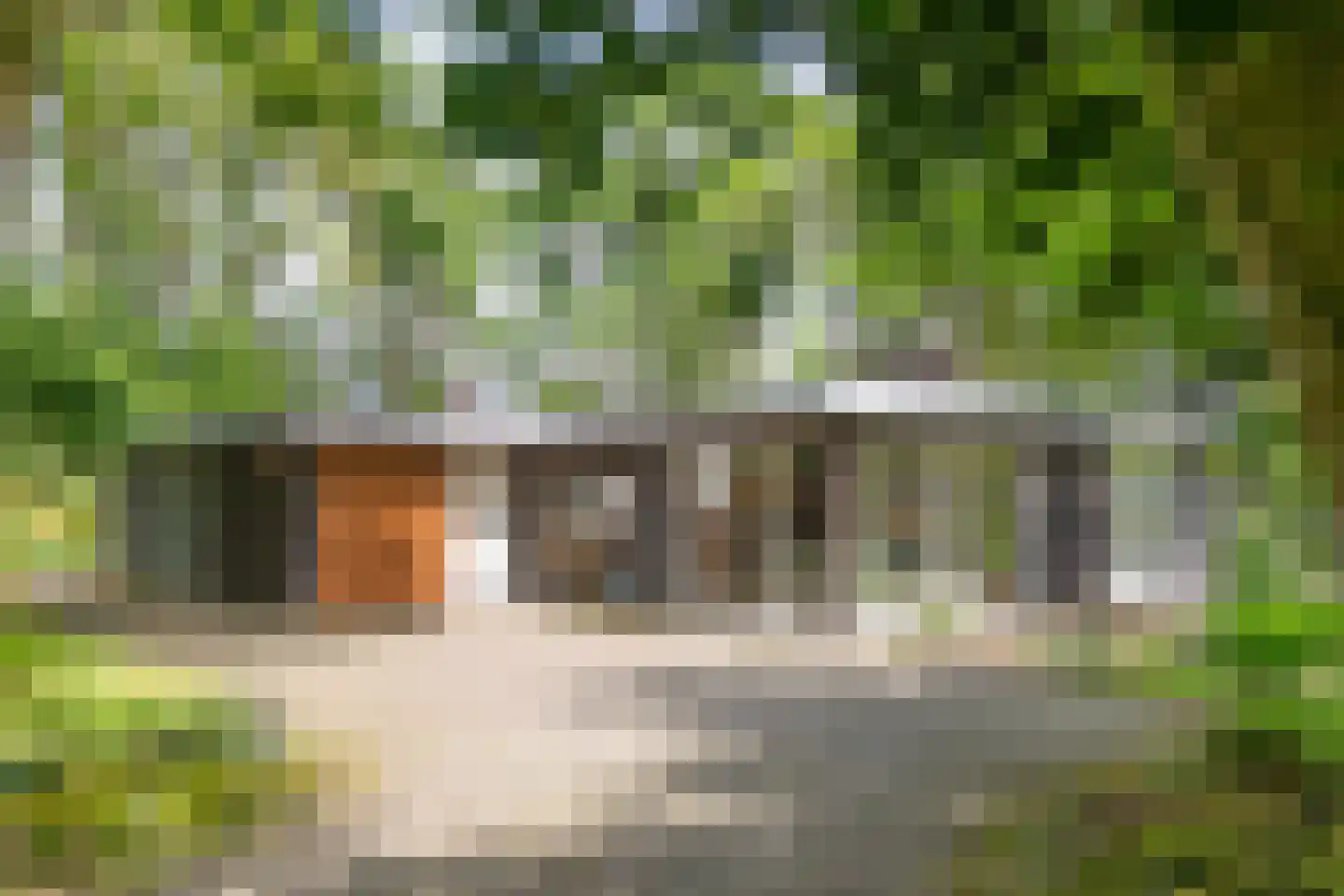 Schoolbosdwarsweg 3 Heino thumbnail 8
