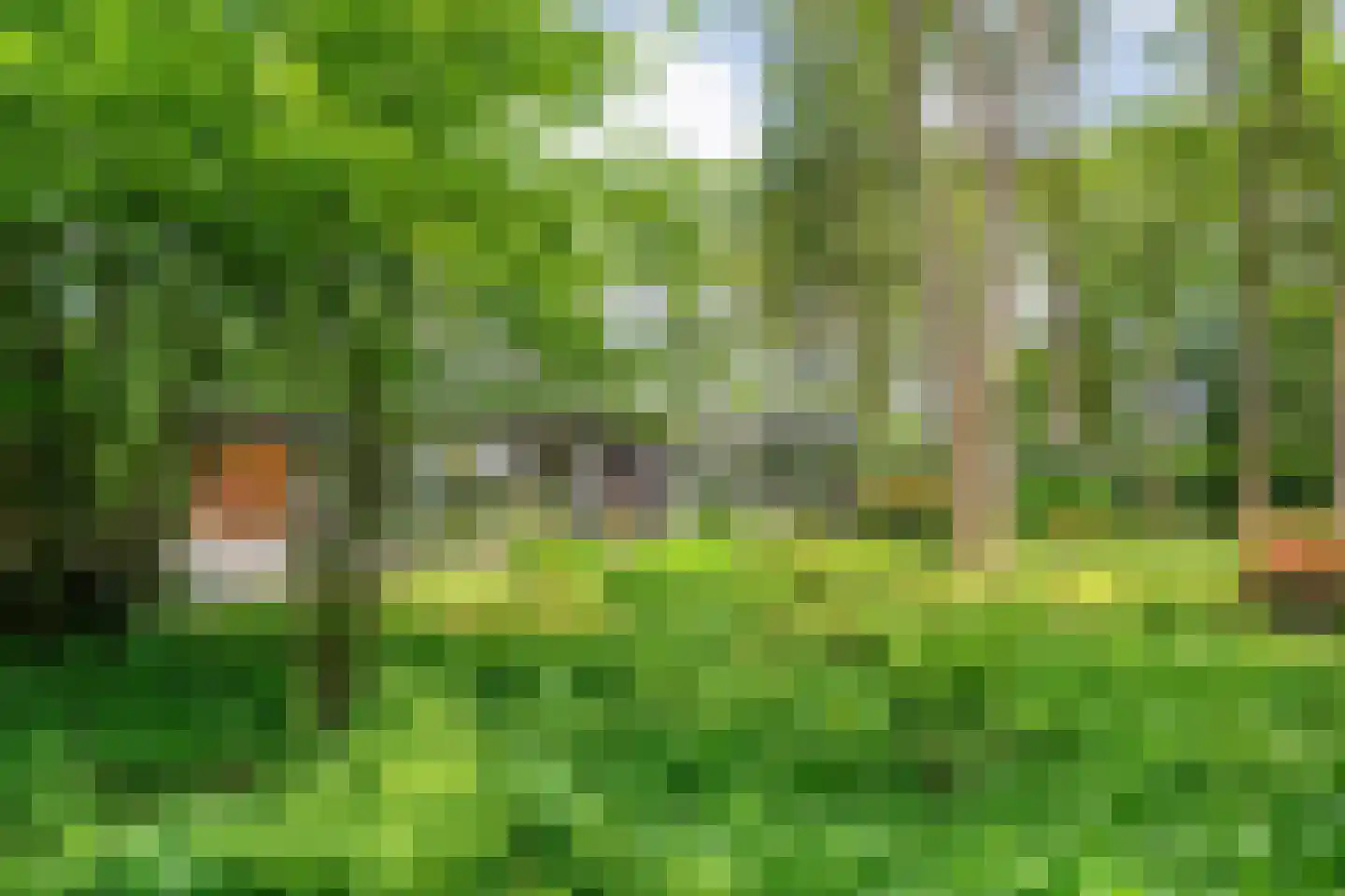 Schoolbosdwarsweg 3 Heino thumbnail 9