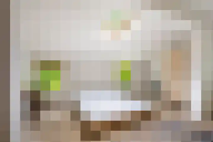 Schoolbosdwarsweg 9 Heino thumbnail 12
