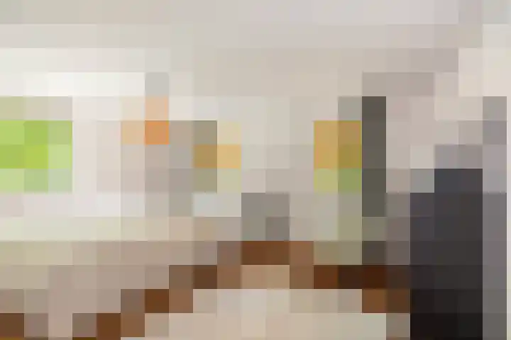 Schoolbosdwarsweg 9 Heino thumbnail 15