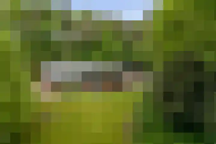 Schoolbosdwarsweg 9 Heino foto 2