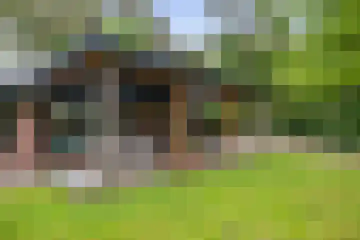 Schoolbosdwarsweg 9 Heino thumbnail 21