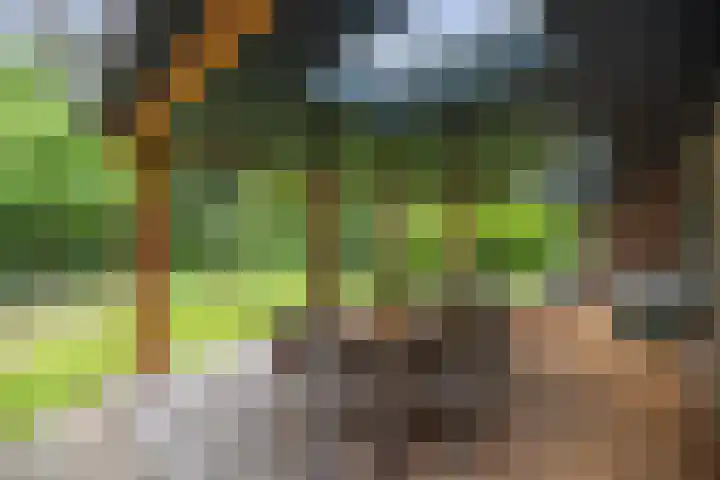 Schoolbosdwarsweg 9 Heino thumbnail 22