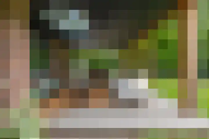 Schoolbosdwarsweg 9 Heino thumbnail 23