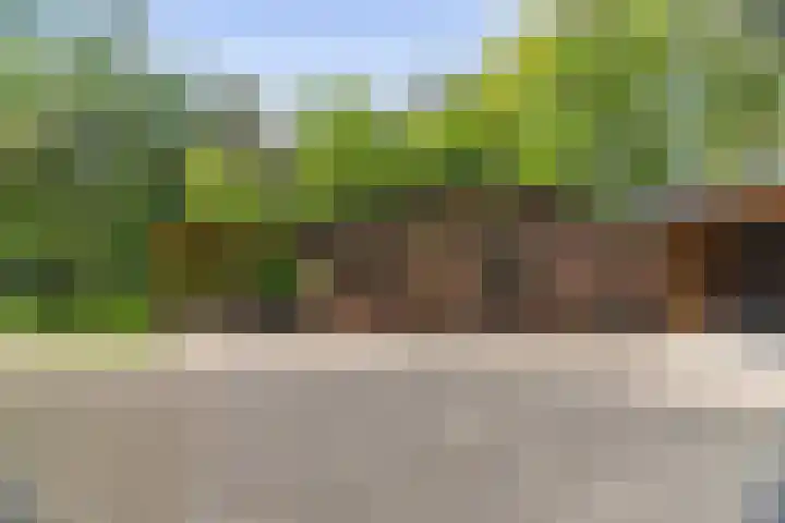 Schoolbosdwarsweg 9 Heino thumbnail 24