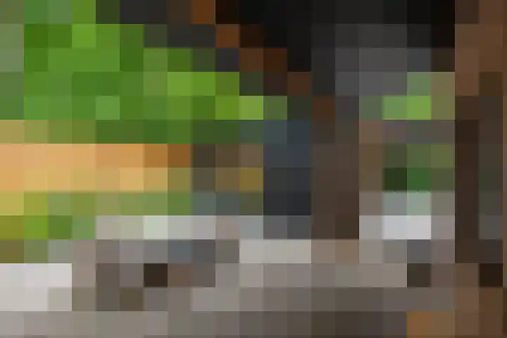 Schoolbosdwarsweg 9 Heino thumbnail 25