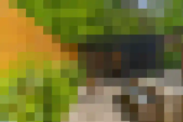 Schoolbosdwarsweg 9 Heino thumbnail 26