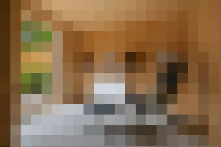 Schoolbosdwarsweg 9 Heino thumbnail 27