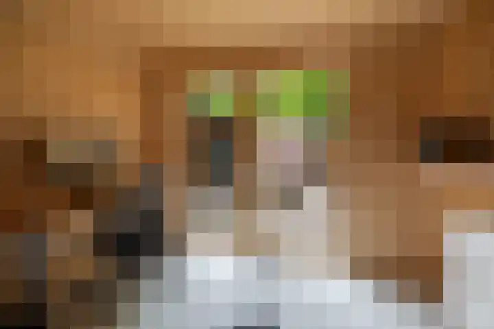 Schoolbosdwarsweg 9 Heino thumbnail 28
