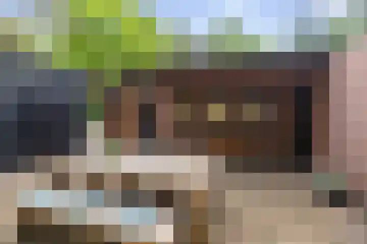 Schoolbosdwarsweg 9 Heino thumbnail 29
