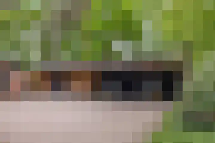 Schoolbosdwarsweg 9 Heino thumbnail 30