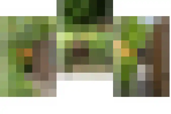 Schoolbosdwarsweg 9 Heino thumbnail 32