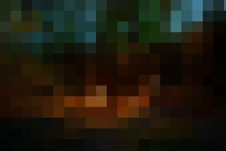 Schoolbosdwarsweg 9 Heino thumbnail 33