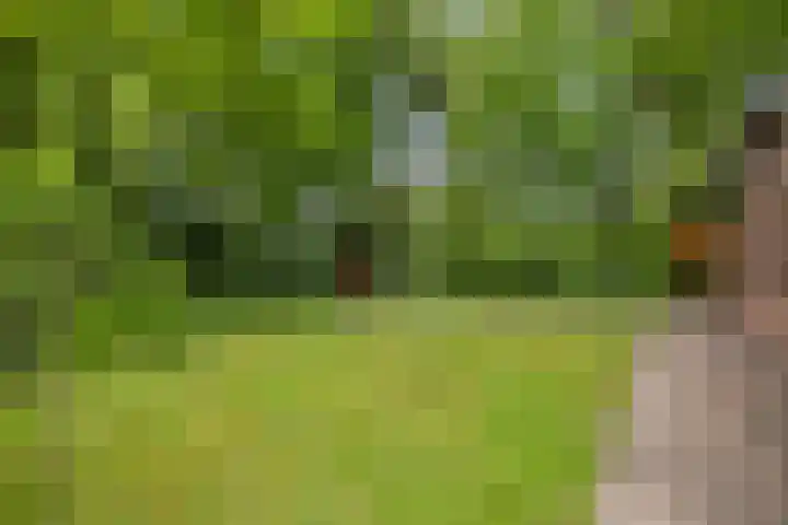 Schoolbosdwarsweg 9 Heino thumbnail 35