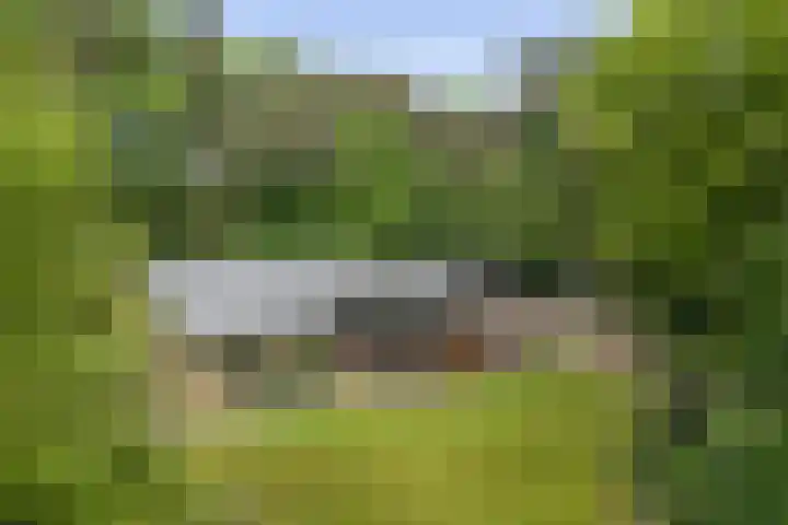 Schoolbosdwarsweg 9 Heino thumbnail 36