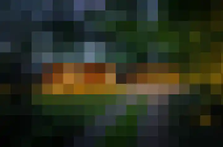 Schoolbosdwarsweg 9 Heino thumbnail 42
