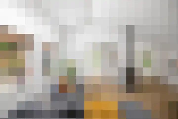 Schoolbosdwarsweg 9 Heino thumbnail 6
