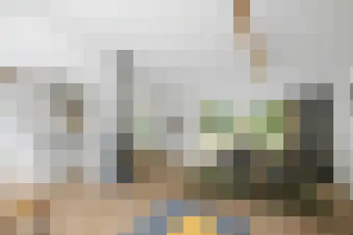 Schoolbosdwarsweg 9 Heino thumbnail 8