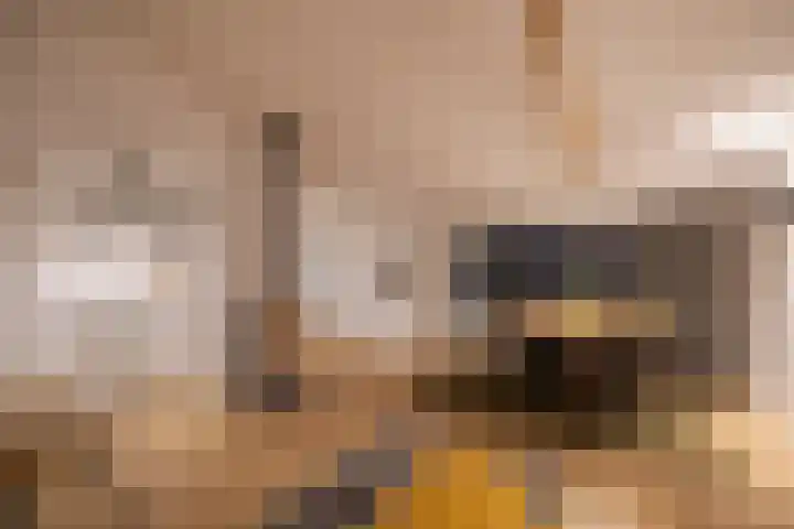 Schoolbosdwarsweg 9 Heino thumbnail 9