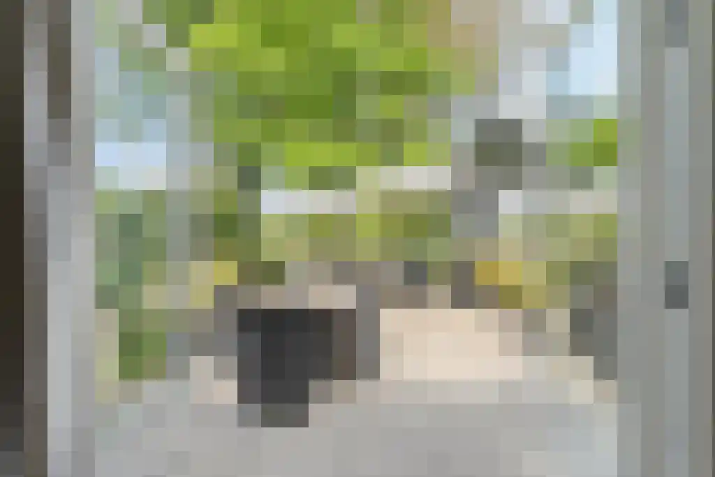 Schoolbosweg 1 Heino thumbnail 23