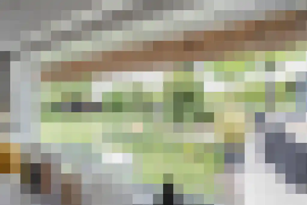Schoolbosweg 1 Heino thumbnail 29