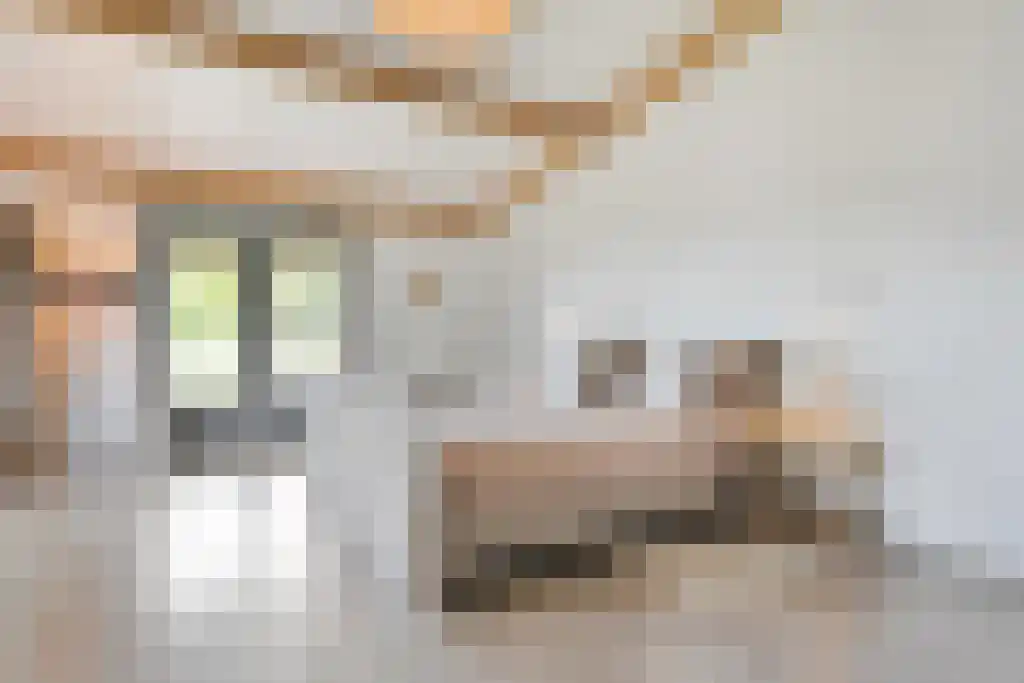 Schoolbosweg 1 Heino thumbnail 36