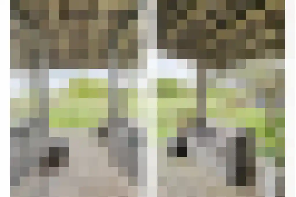 Schoolbosweg 1 Heino thumbnail 37