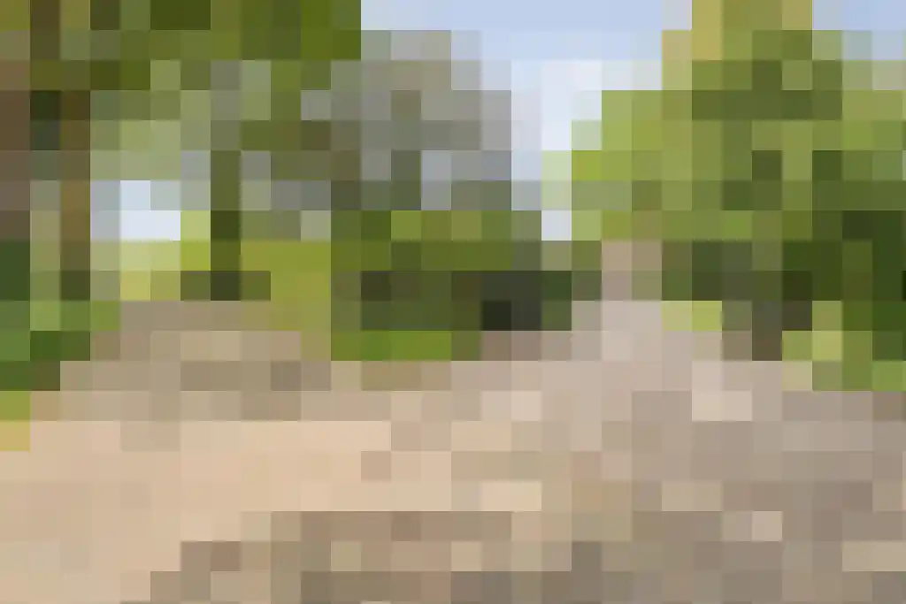 Schoolbosweg 1 Heino thumbnail 4