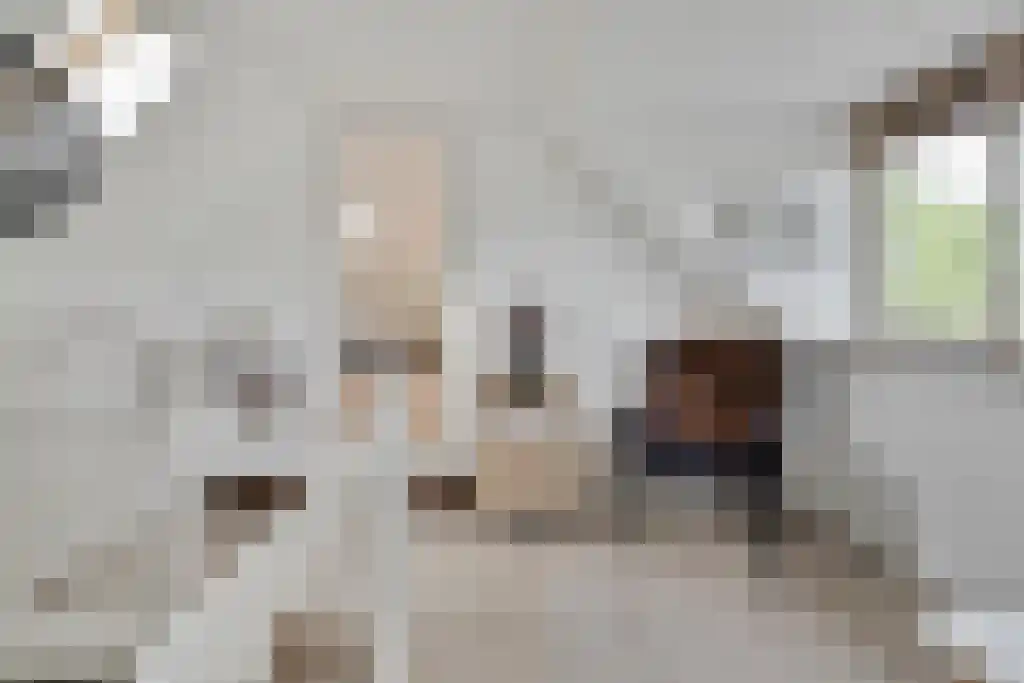 Schoolbosweg 1 Heino thumbnail 42