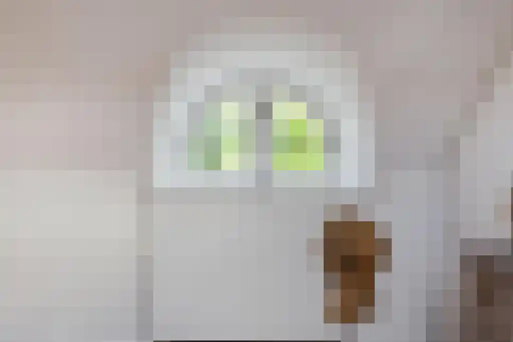 Schoolbosweg 1 Heino thumbnail 47