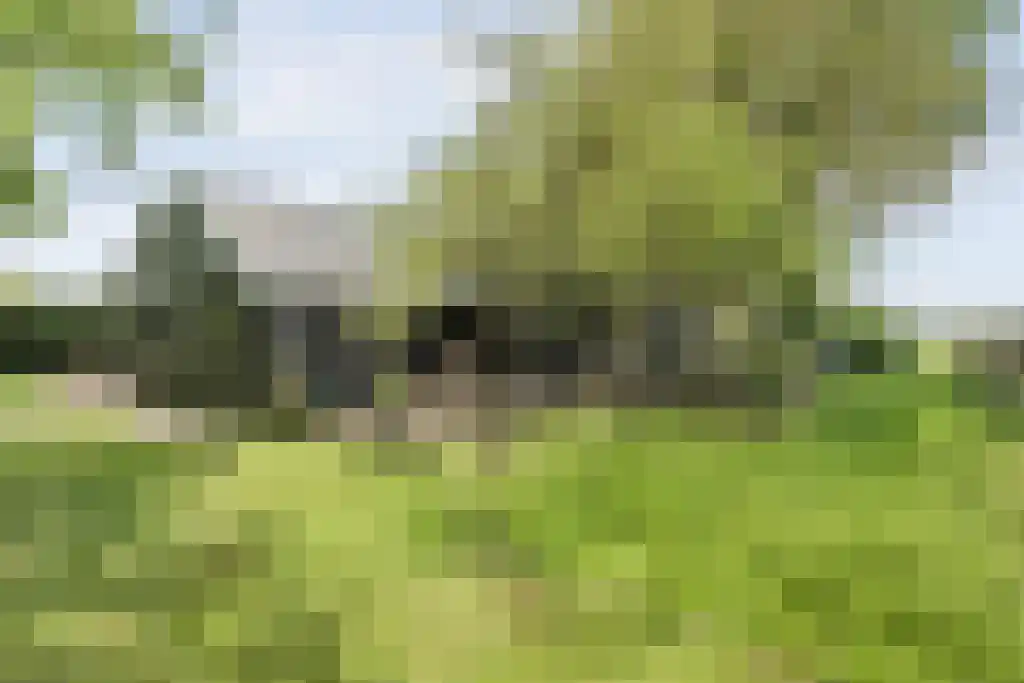 Schoolbosweg 1 Heino thumbnail 49