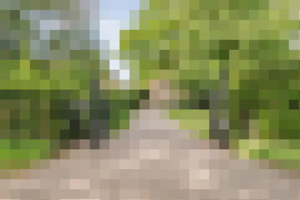Schoolbosweg 1 Heino thumbnail 5