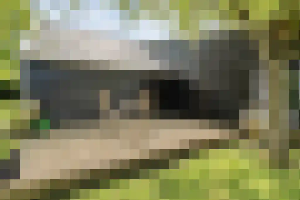 Schoolbosweg 1 Heino thumbnail 50
