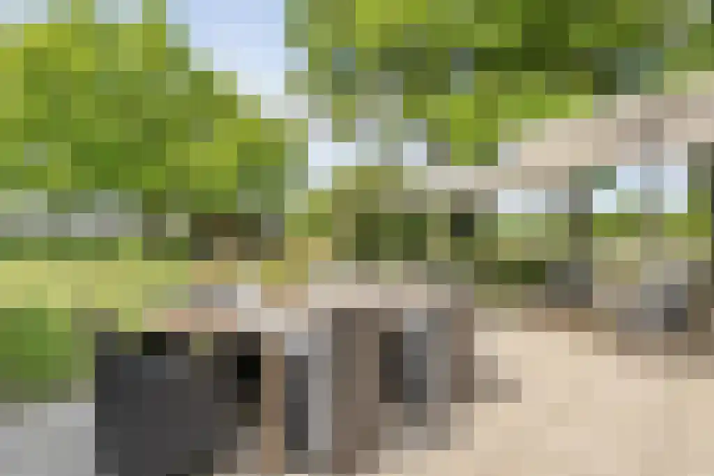 Schoolbosweg 1 Heino thumbnail 52