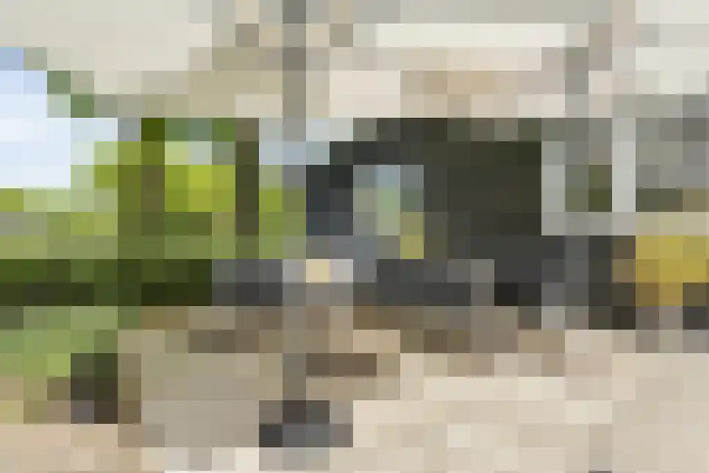 Schoolbosweg 1 Heino thumbnail 53