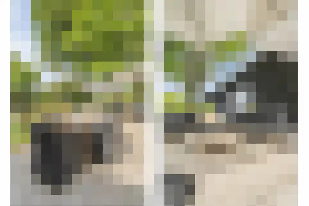 Schoolbosweg 1 Heino thumbnail 54