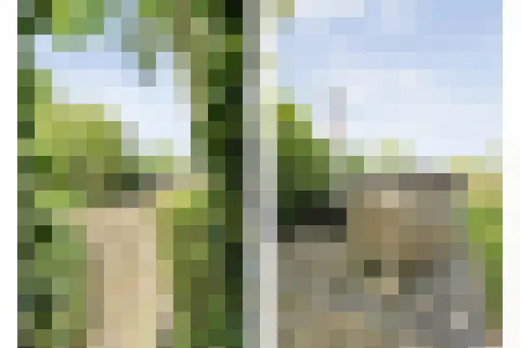 Schoolbosweg 1 Heino thumbnail 55