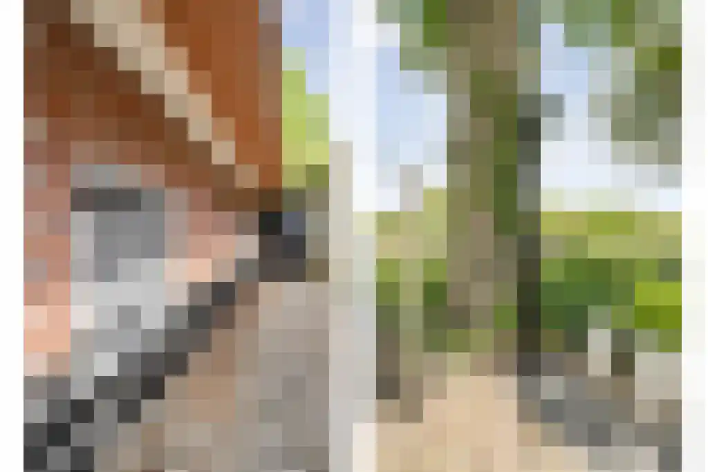 Schoolbosweg 1 Heino thumbnail 56