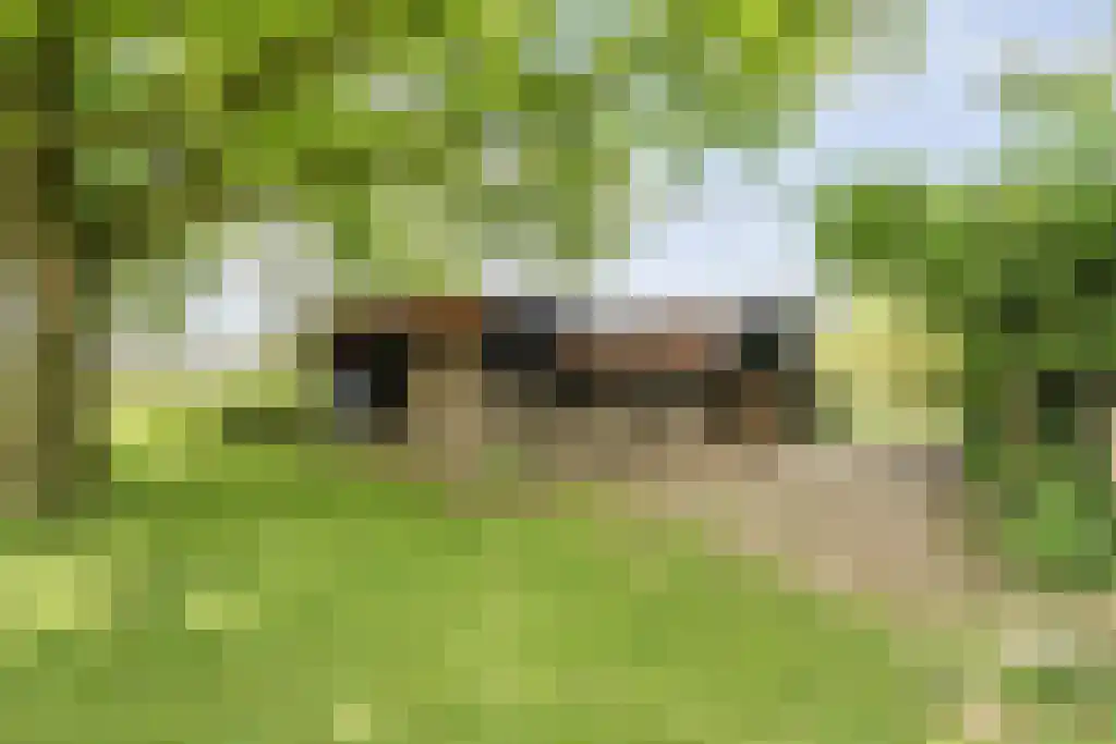 Schoolbosweg 1 Heino thumbnail 59