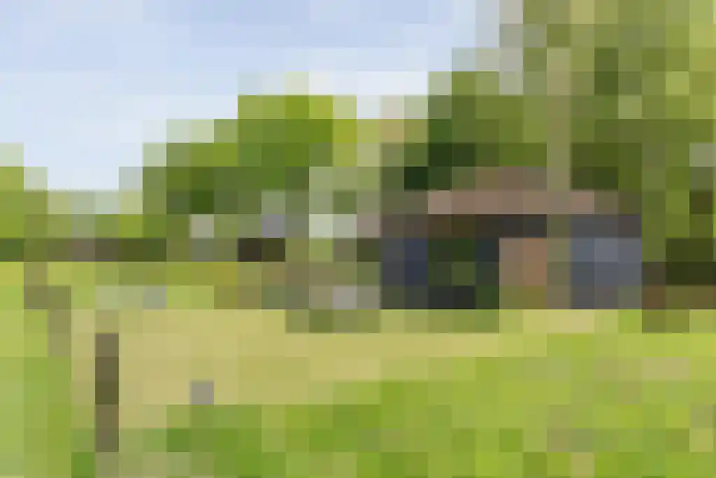 Schoolbosweg 1 Heino thumbnail 60