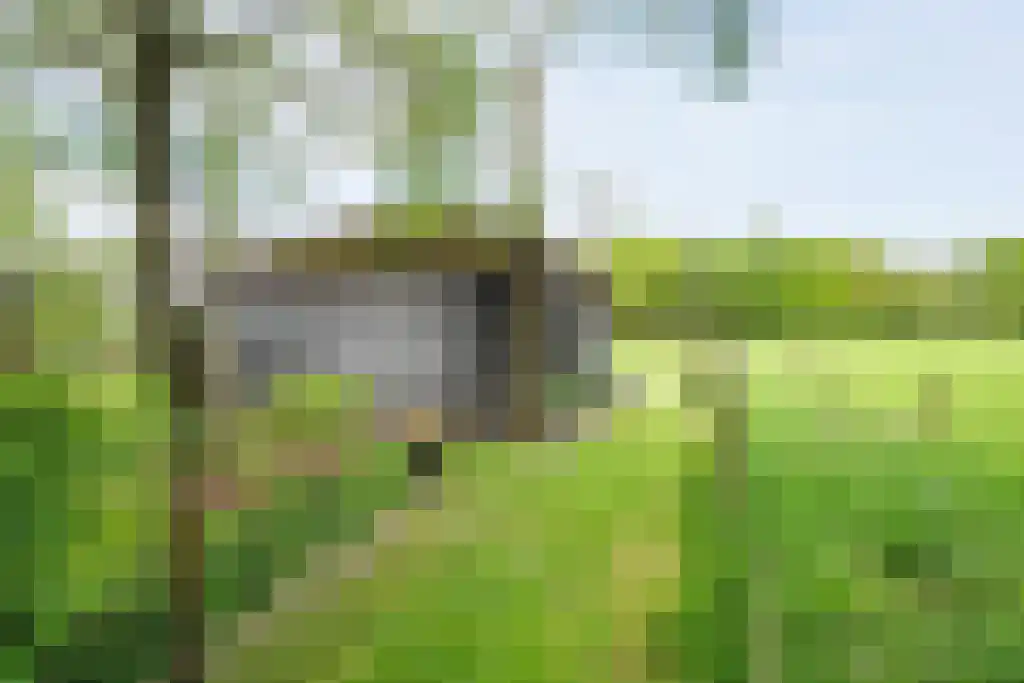 Schoolbosweg 1 Heino thumbnail 61