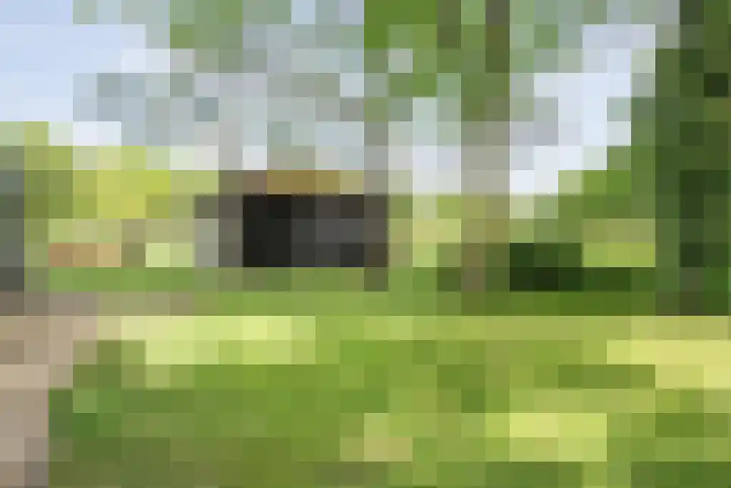 Schoolbosweg 1 Heino thumbnail 62